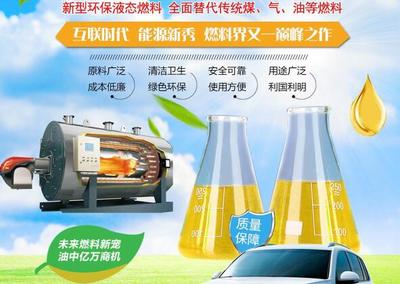 無醇植物燃料油培訓(xùn)指南 從入門到精通
